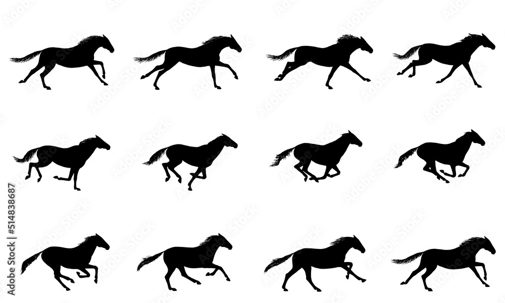 Galloping horse or mustang. Horse running silhouette cycle. Key positions of pony running set. Loop equine gallop motion. Isolated vector hand drawn animation cartoon poses. Equestrian collection - obrazy, fototapety, plakaty 