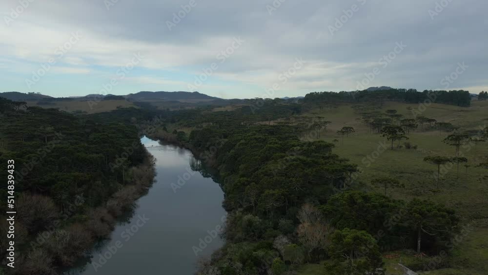 Rural Area in Southern Brazil With River and Parana Pine Trees. Aerial View Rural Area in Southern Brazil With River and Parana Pine Trees. Aerial View