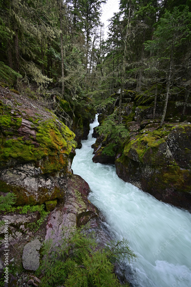 High levels and torrential water flow in Avalanche Creek in Glacier National Park, Montana after heavy rains in June. High levels and torrential water flow in Avalanche Creek in Glacier National Park, Montana after heavy rains in June.