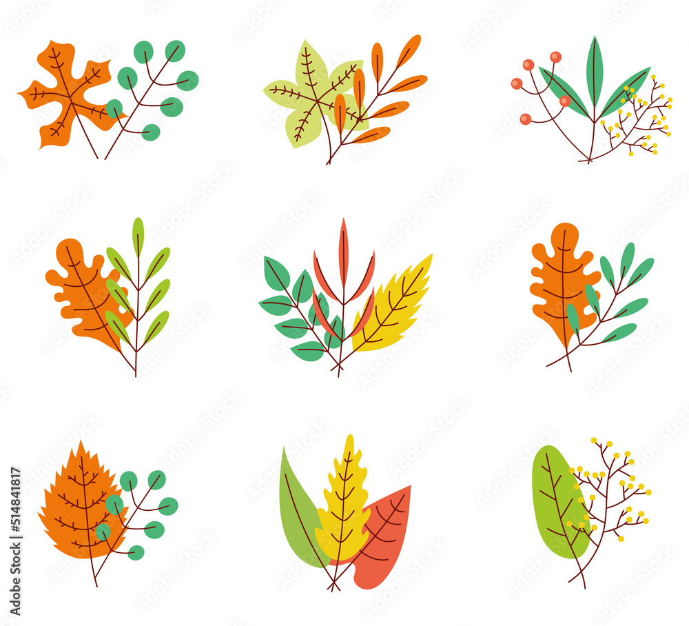 Autumn herbarium leave isolated design element set. Vector graphic design illustration Autumn herbarium leave isolated design element set. Vector graphic design illustration