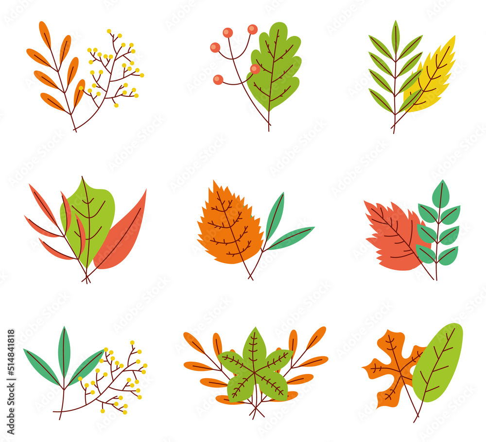 Autumn herbarium leave isolated design element set. Vector graphic design illustration