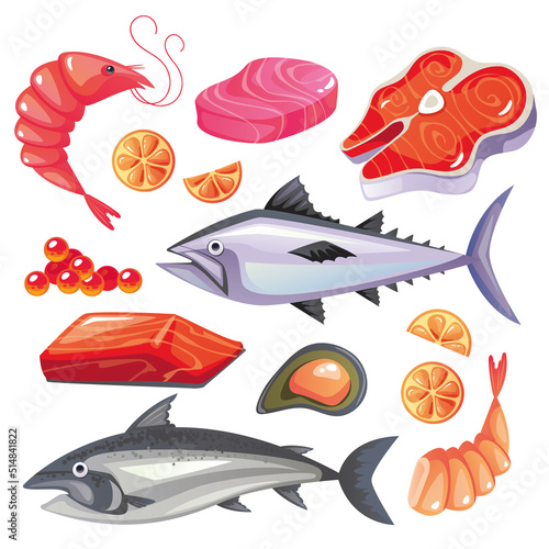 Seafood fish salmon tuna shrimp oyster isolated design element set collections. Vector graphic design illustration