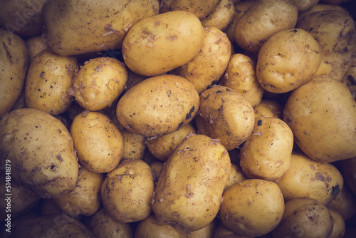  Fresh Organic Whole Potato. Farmers Market