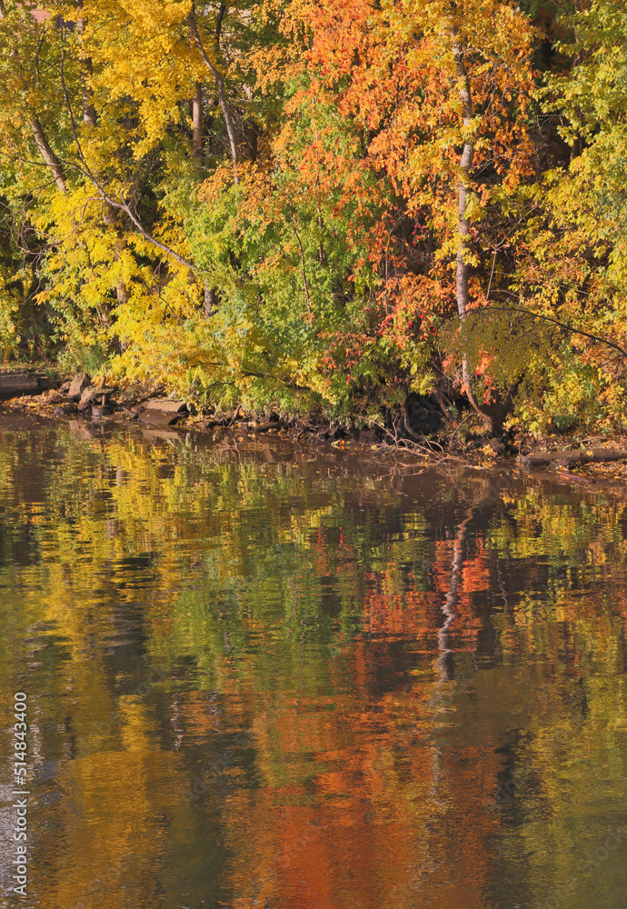 autumn trees and its reflection in river autumn trees and its reflection in river