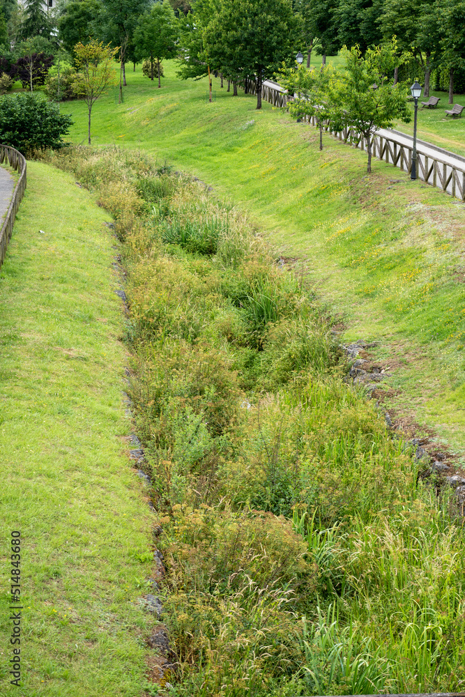 Obraz premium Broken abandoned drainage channel overgrown with reeds in a park with trees and green grass