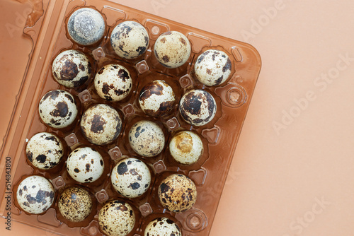 Fresh quail eggs and dry plants on plastic box, flat lay. Space for text