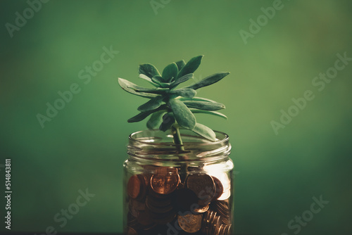 plant growing in the savings boat or coins