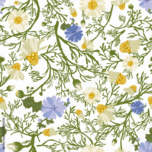 A pattern of daisies and chicory in blue.For fabrics, for printing brochures, posters, parties, vintage textile design, postcards, packaging