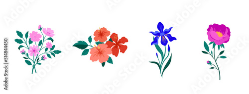 Print op canvas Spring botanical flowers illustrations