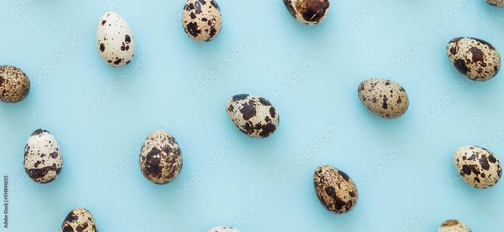 quail eggs on light blue background copy space