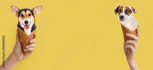 Canvas Print Hands holding funny dogs in wafer cones on yellow background with space for text