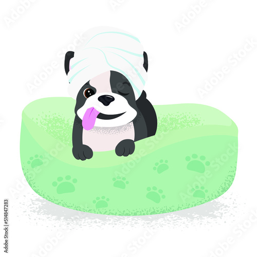 A French bulldog with a towel on his head. Spa treatments. Grooming. Cartoon design.