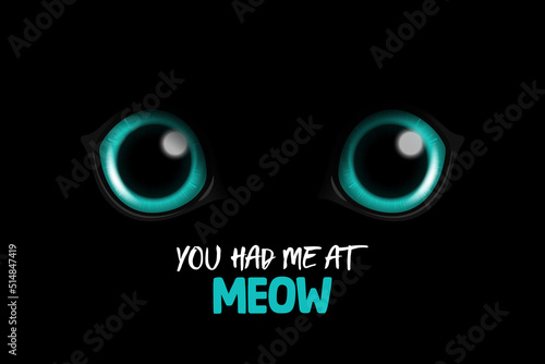 You Had Me At Meow. Vector 3d Realistic Blue Round Glowing Cats Eyes of a Black Cat. Cat Look in the Dark Black Background Closeup. Glowing Cat or Panther Eyes