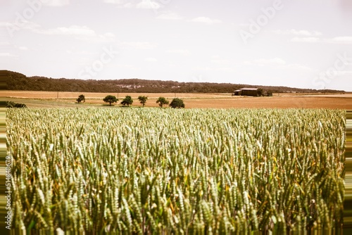 A Hut in the Fields, Landscape in Hohenlohe, Baden-Württemberg, Germany, Europe.