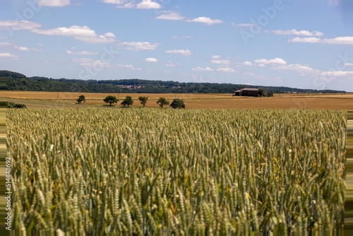 A Hut in the Fields, Landscape in Hohenlohe, Baden-Württemberg, Germany, Europe.