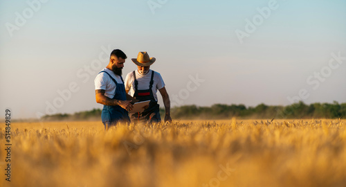 Farmers are standing in their wheat field. Grandfather is teaching his grandson about agriculture. They using digital tablet. Family business concept.