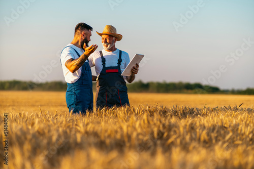 Farmers are standing in their wheat field. Grandfather is teaching his grandson about agriculture. They using digital tablet. Family business concept.