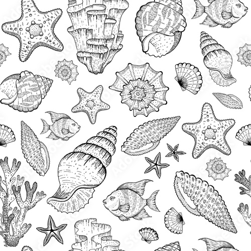 Sea pattern with seashell, coral reef, starfish, algae. Vector seamless ocean illustration. Beach background in marine vintage style. Summer sketch graphic drawing with underwater tropical elements