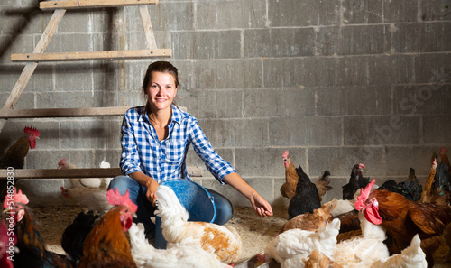 Tableau sur toile Focused young woman feeding domestic chickens while working in henhouse