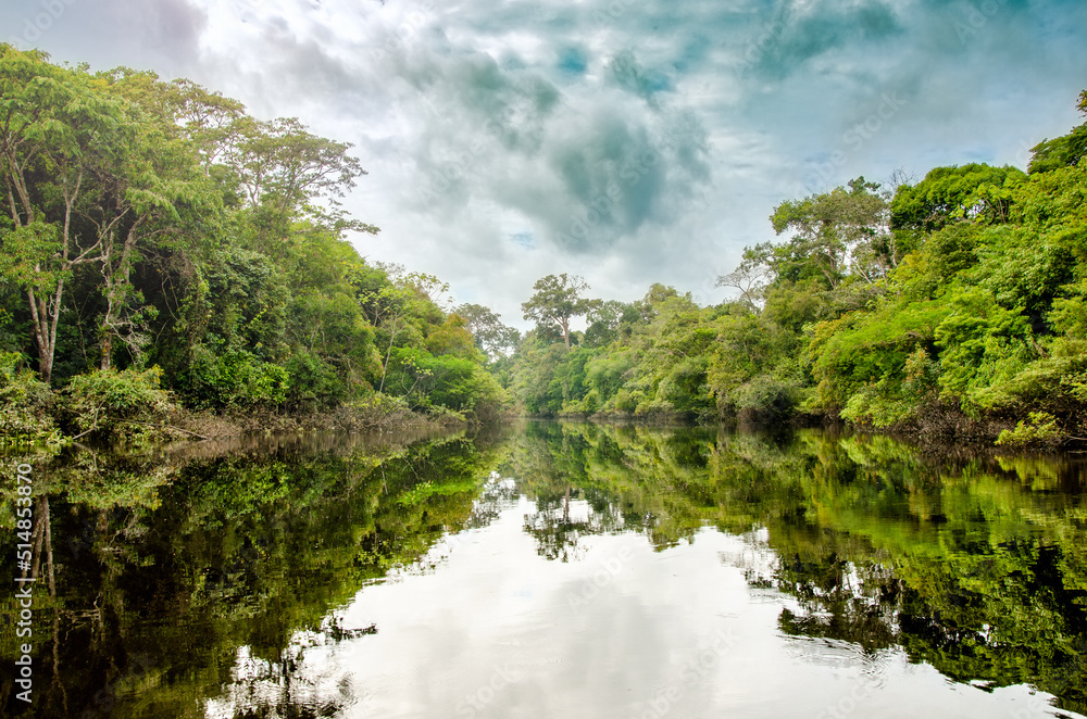río en la selva con un espectacular reflejo del agua - Reserva nacional Pacaya Samiria, Peru, Amazonia 