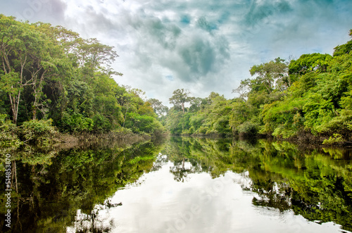 río en la selva con un espectacular reflejo del agua - Reserva nacional Pacaya Samiria, Peru, Amazonia  photo