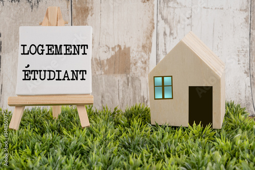 Принти на полотні Petite maison en bois logement étudiant