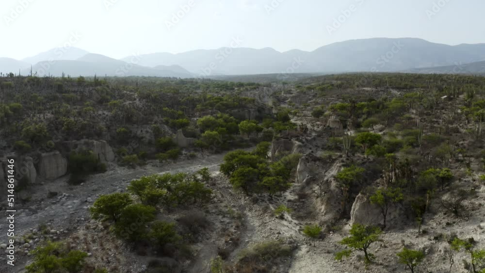 Shrubbery in Arid, Desolate Mexico Desert of Zapotitlan - Aerial Shrubbery in Arid, Desolate Mexico Desert of Zapotitlan - Aerial