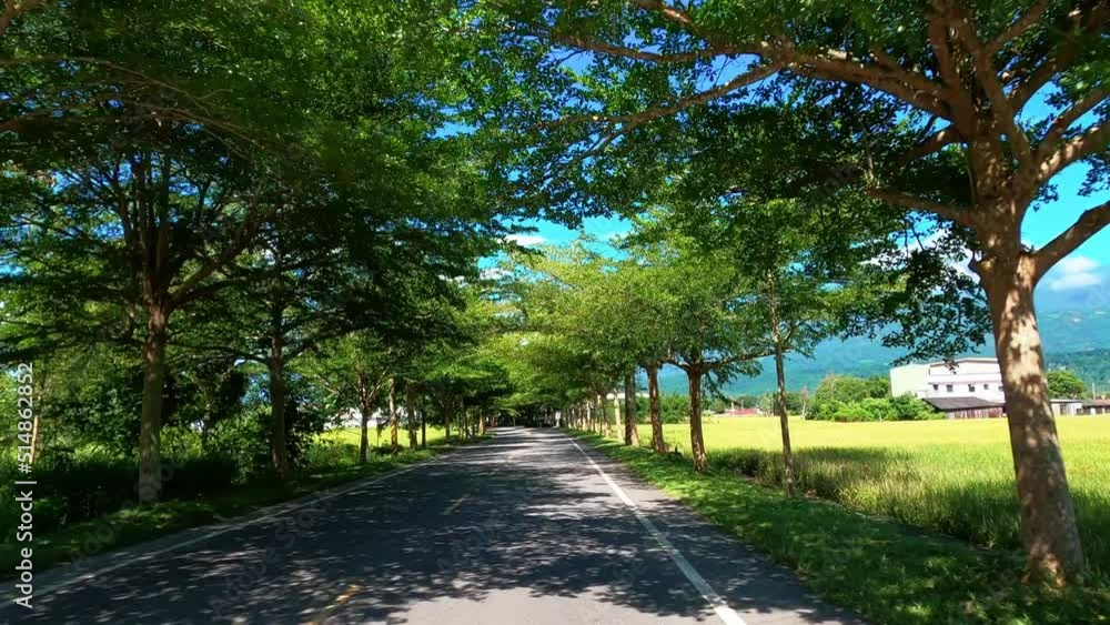 POV of driving travel on highway road among green tree in countryside POV of driving travel on highway road among green tree in countryside