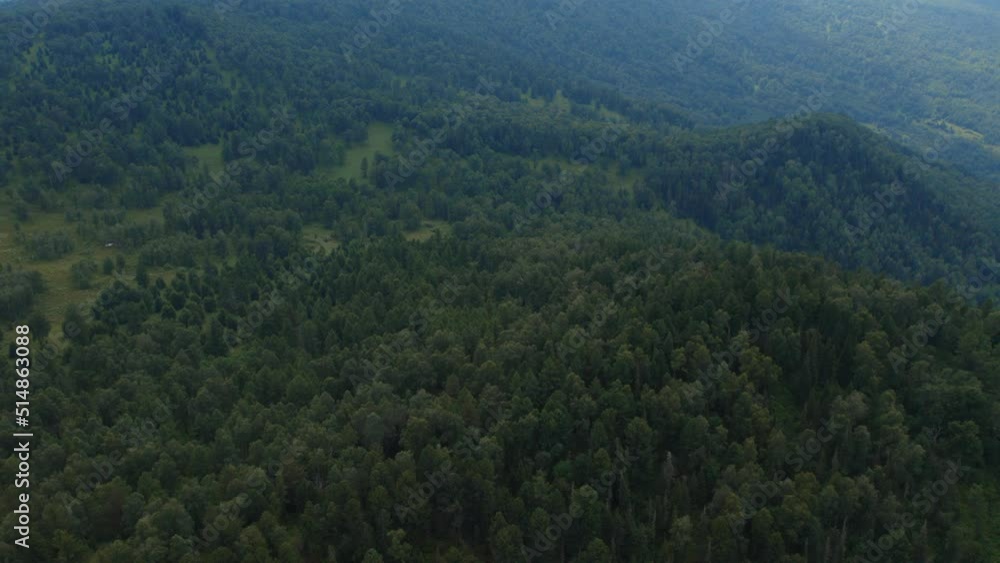 Deep forest on mountains of Manzherok, Altai, Siberia, Russia. Beautiful summer nature landscape at during daytime. Aerial view from a drone Deep forest on mountains of Manzherok, Altai, Siberia, Russia. Beautiful summer nature landscape at during daytime. Aerial view from a drone