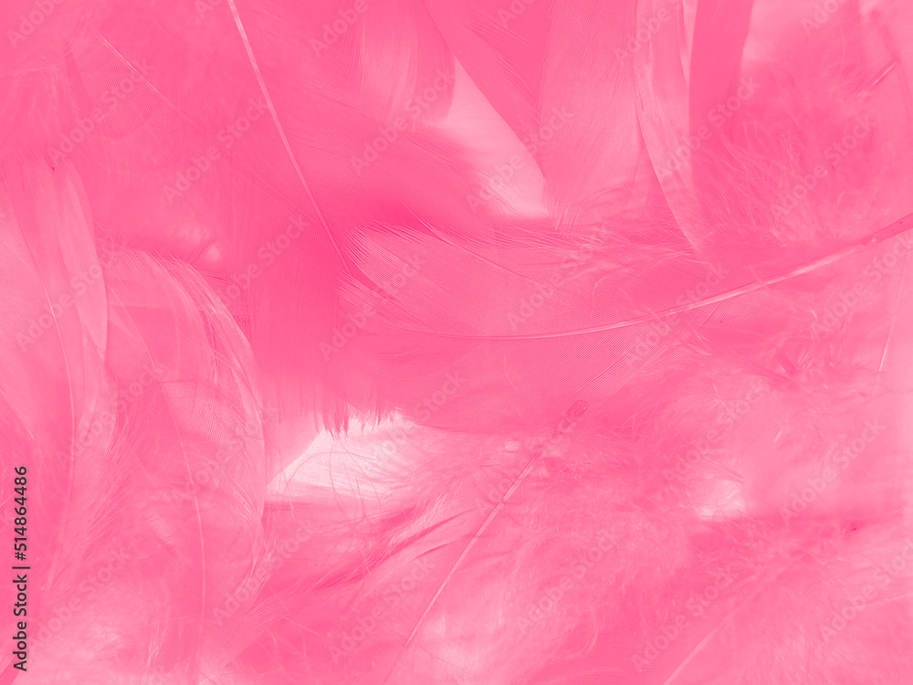 Beautiful abstract light pink feathers on white background, white feather frame on pink texture pattern, pink background, love theme wallpaper and valentines day, white gradient Beautiful abstract light pink feathers on white background, white feather frame on pink texture pattern, pink background, love theme wallpaper and valentines day, white gradient