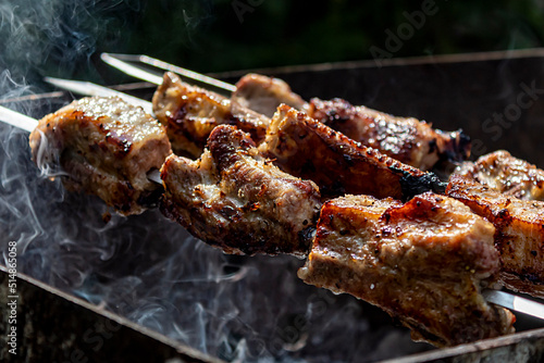 Canvastavla shish kebab on the grill