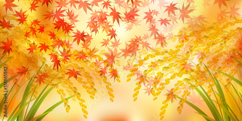米　稲　紅葉　背景