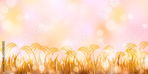 米　稲　秋　背景