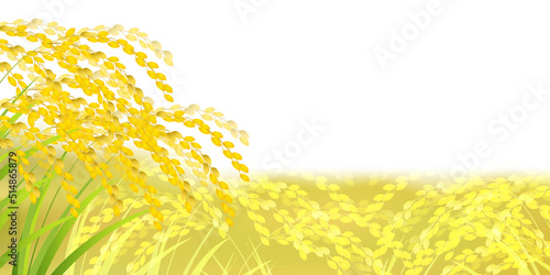 米　稲　秋　背景