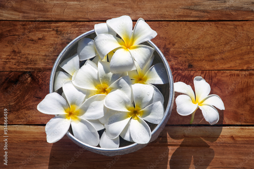 Top view of frangipani flowers floating on water in vintage silver bowl. Top view of frangipani flowers floating on water in vintage silver bowl.