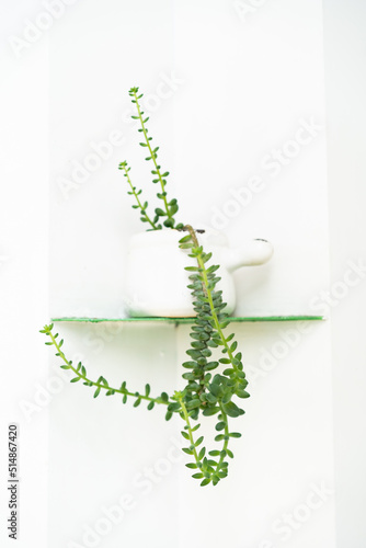 medical caduceus background