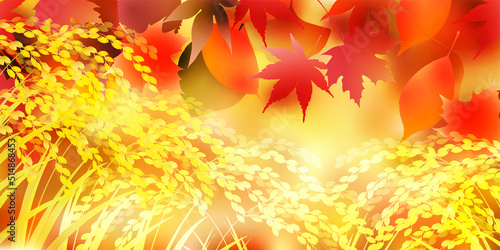 米　稲　秋　背景