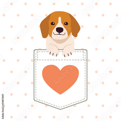 The character of cute beagle dog in the pocket of the shirt in flat vector style. Illustration about cat for banner, greeting card, content, graphic.