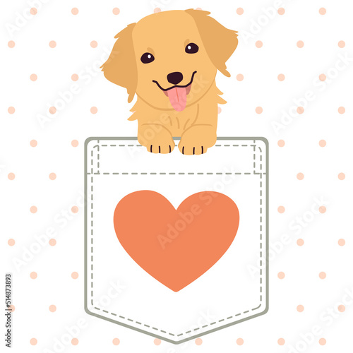 The character of cute golden retriever dog in the pocket of the shirt in flat vector style. Illustration about cat for banner, greeting card, content, graphic.