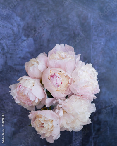 Peony flowers are pale pink, on a blue background, top view. Flower arrangement. Layout with plants. A flat plate with flowers on a blue table. The concept of Women's Day.