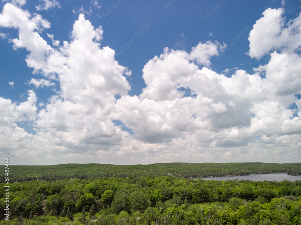 An aerial view of a forrest and large clouds in Ontario, Canada.