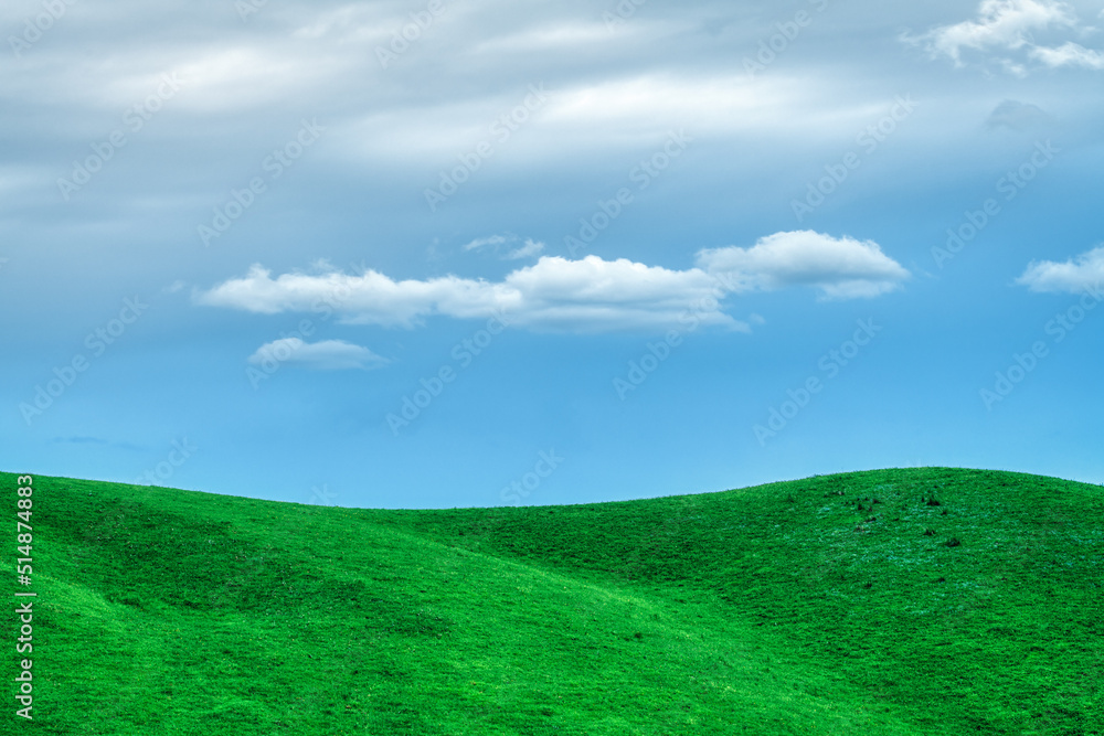 green field and blue sky green field and blue sky
