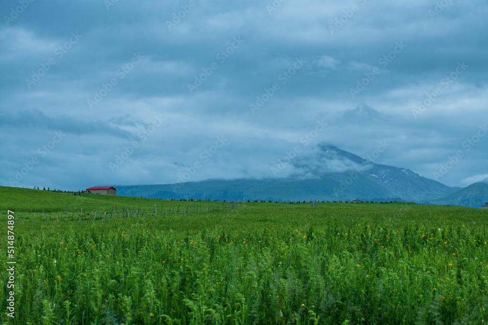 mountains on plain in a foggy morning mountains on plain in a foggy morning