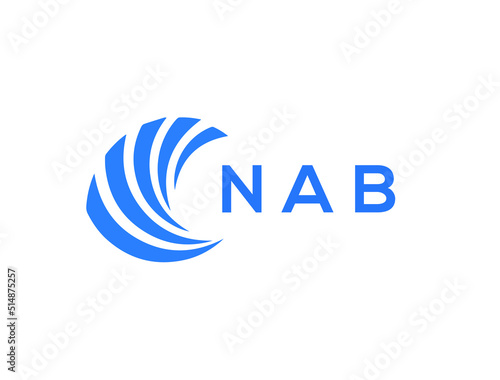 NAB Flat accounting logo design on white background. NAB creative initials Growth graph letter logo concept. NAB business finance logo design.
