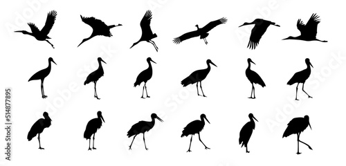 A set of stork silhouette on a separate white background. Birds