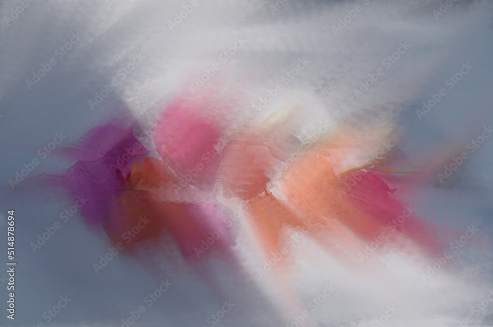 Colorful flower illustration Colorful flower illustration