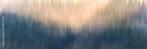 Forest in the morning fog, sun rays, panoramic view