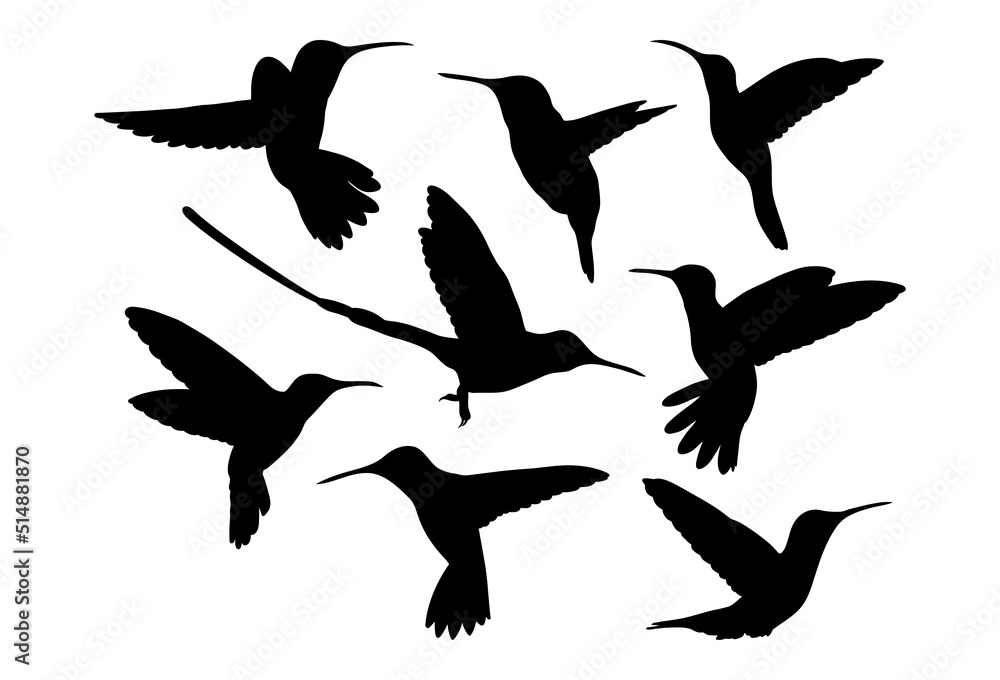 Hummingbird. Template for plotter lazer cutting of paper, wood. Hummingbird. Template for plotter lazer cutting of paper, wood.