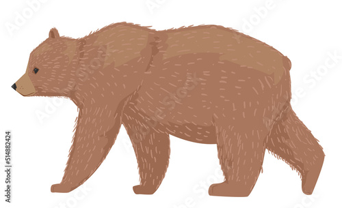 Finland Brown Bear Illustra...