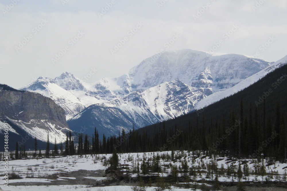 Winters High Ground, Jasper National Park, Alberta